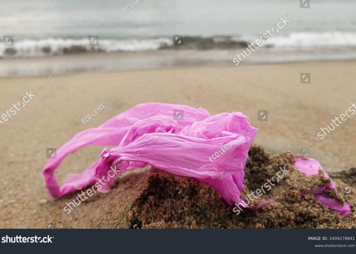 L’impact du tourisme sur l’écosystème de La Réunion : enjeux et solutions