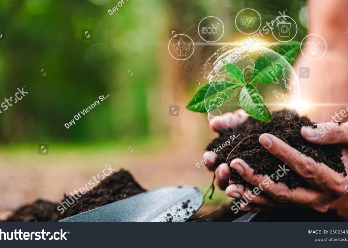 Écosystèmes terrestres