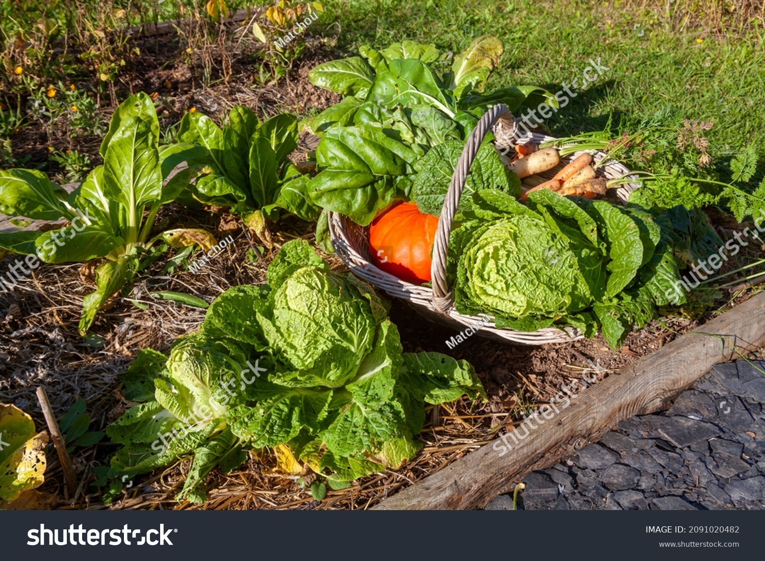 La permaculture à La Réunion : une agriculture respectueuse de l’environnement