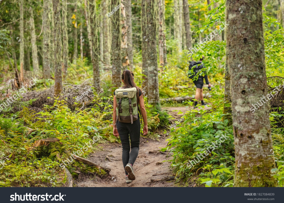 Les initiatives de tourisme écologique à La Réunion