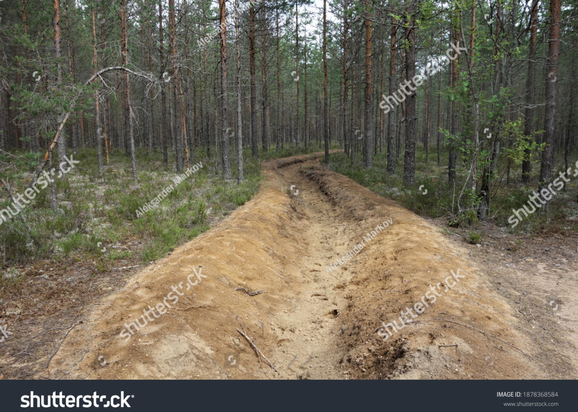 Les solutions pour limiter les feux de forêt à La Réunion