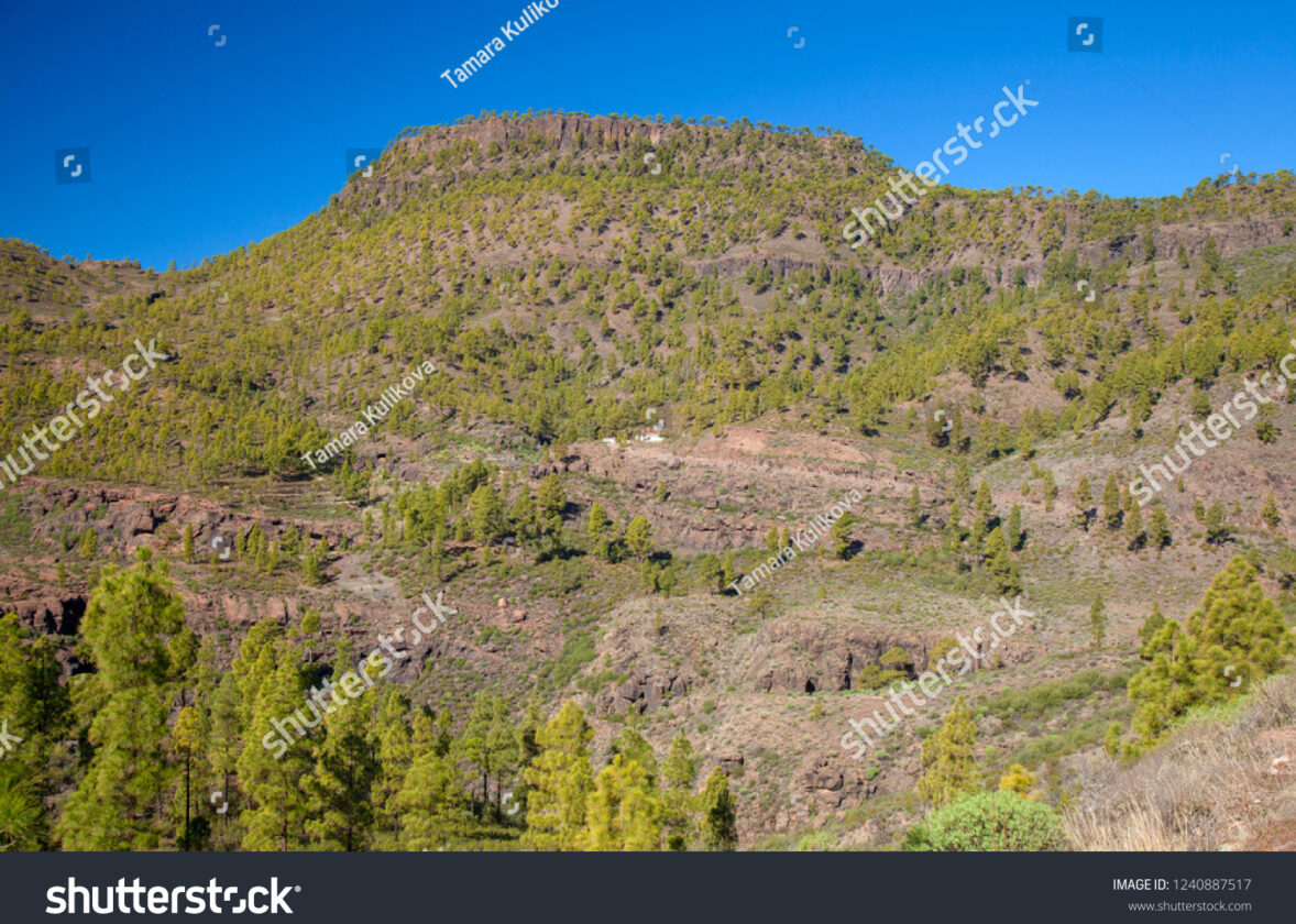Les zones de protection intégrale à La Réunion