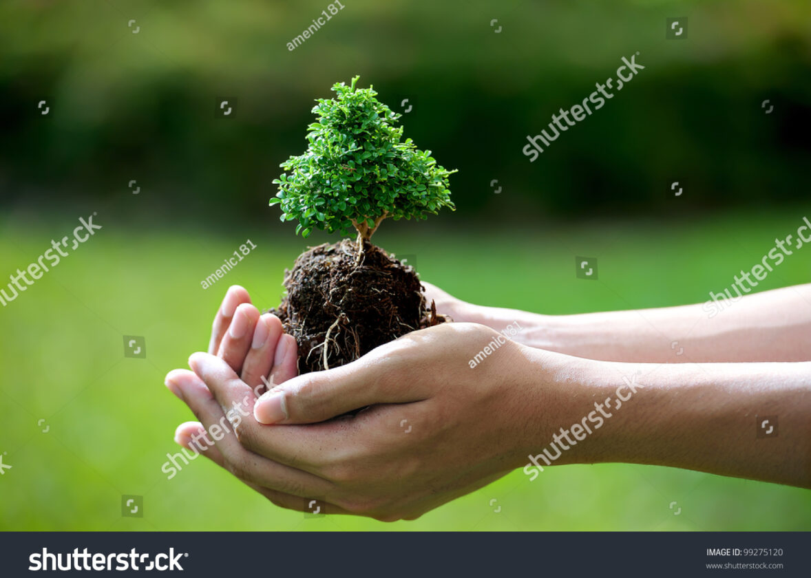 Protection des forêts