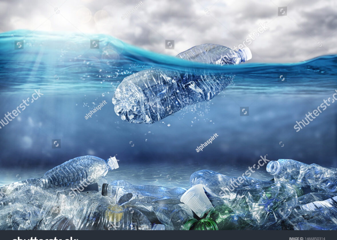 Quelles sont les menaces environnementales actuelles à La Réunion ?