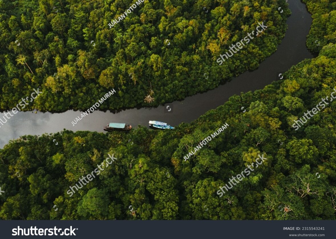 La Forêt Tropicale de La Réunion, un Joyau de Biodiversité à Protéger