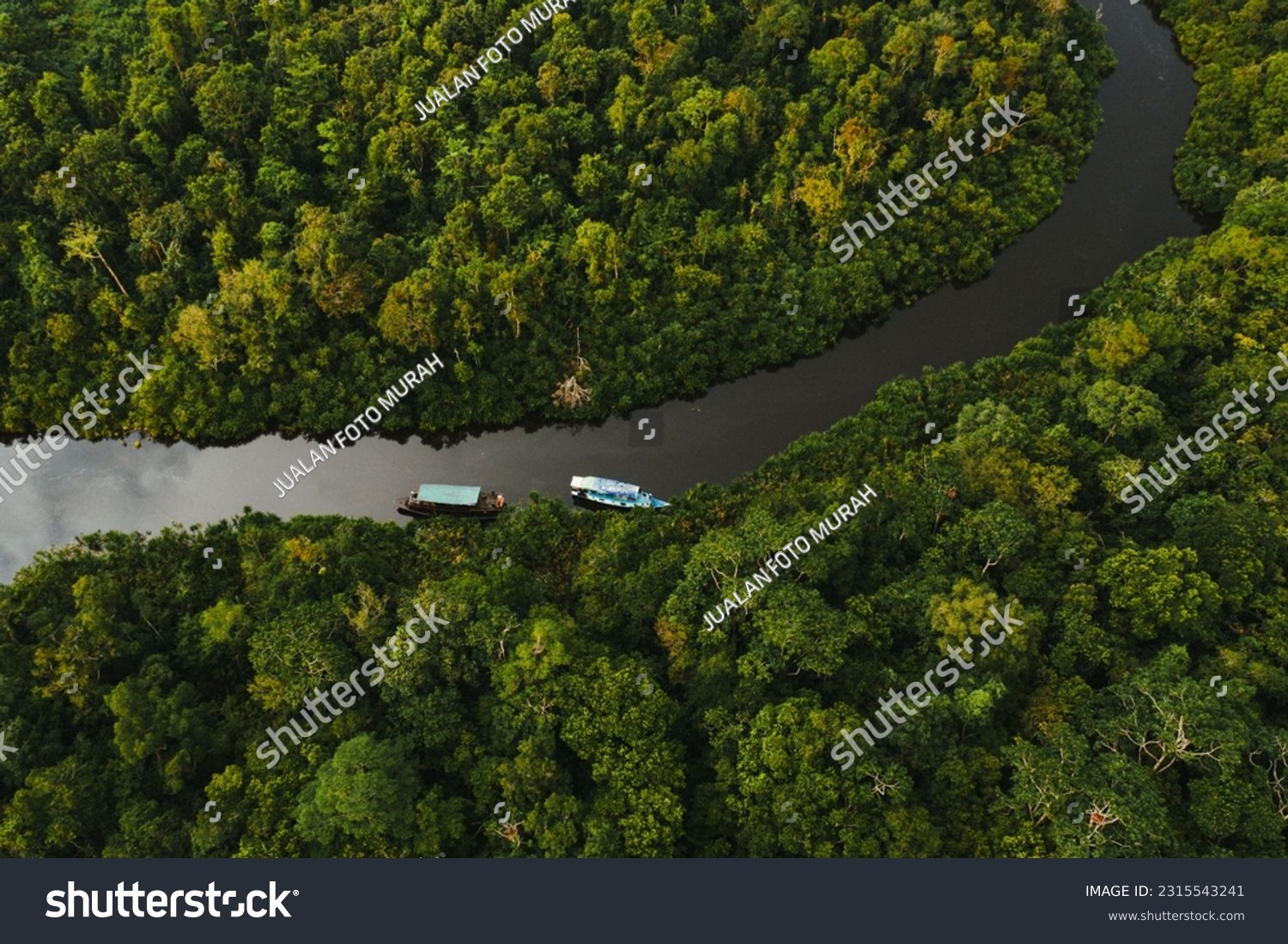 La Forêt Tropicale de La Réunion, un Joyau de Biodiversité à Protéger