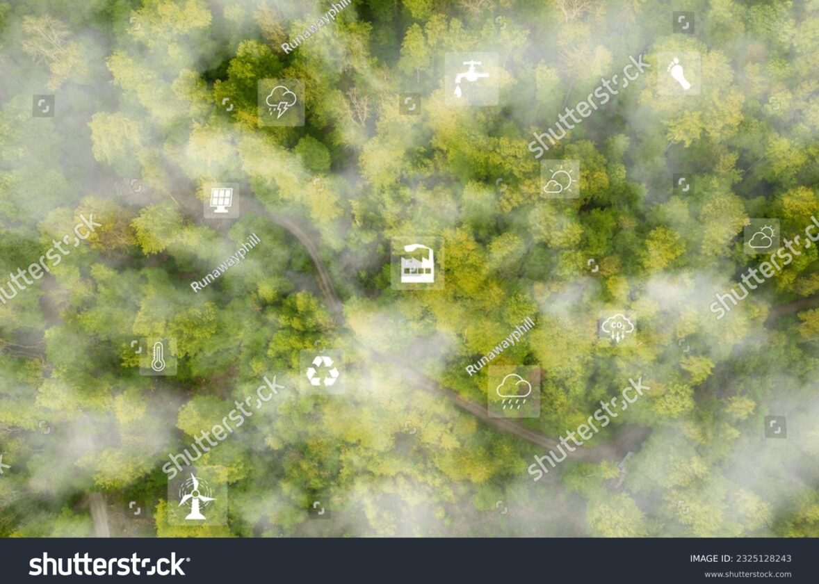 La place de la forêt dans les objectifs de développement durable