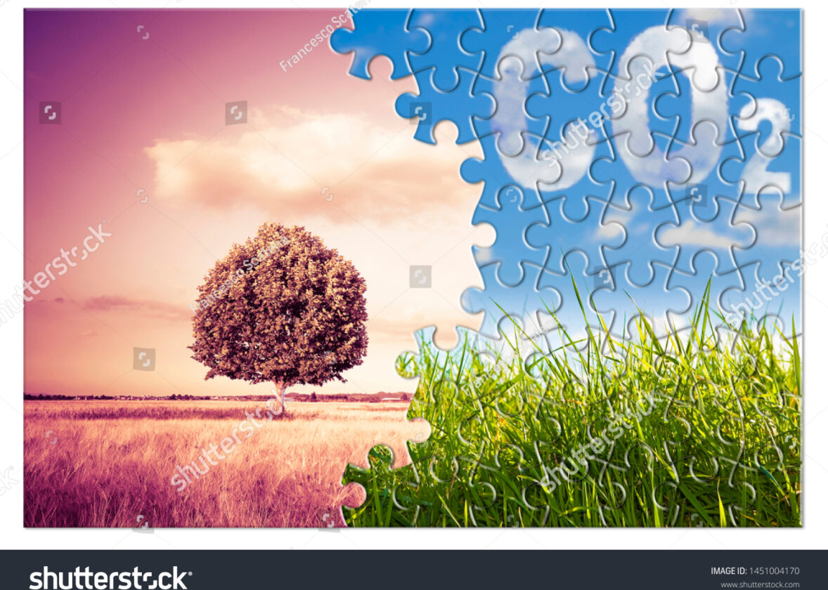 La réduction des émissions de gaz à effet de serre : un défi mondial