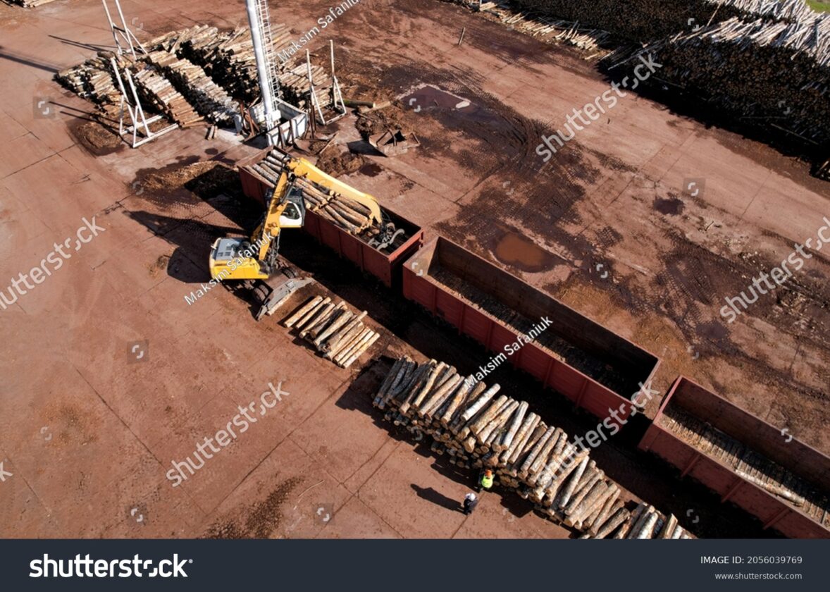 La réglementation et le contrôle de l’exploitation forestière illégale