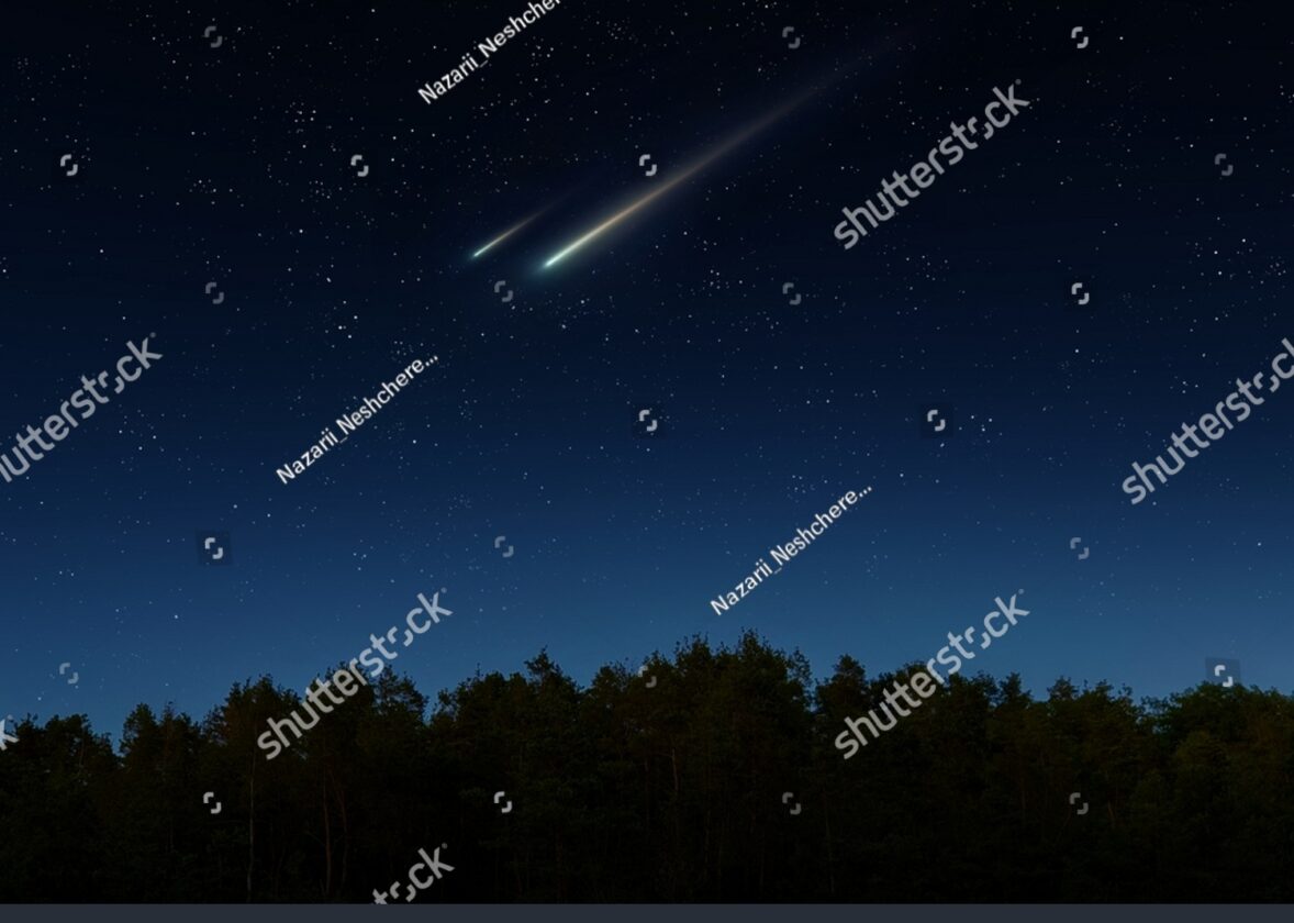 Le rôle de la forêt dans la capture du dioxyde de carbone