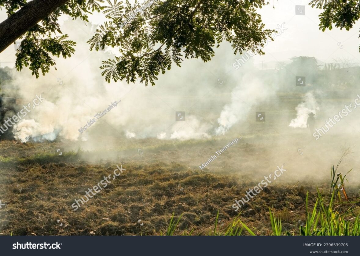 Le suivi et la réglementation des polluants atmosphériques
