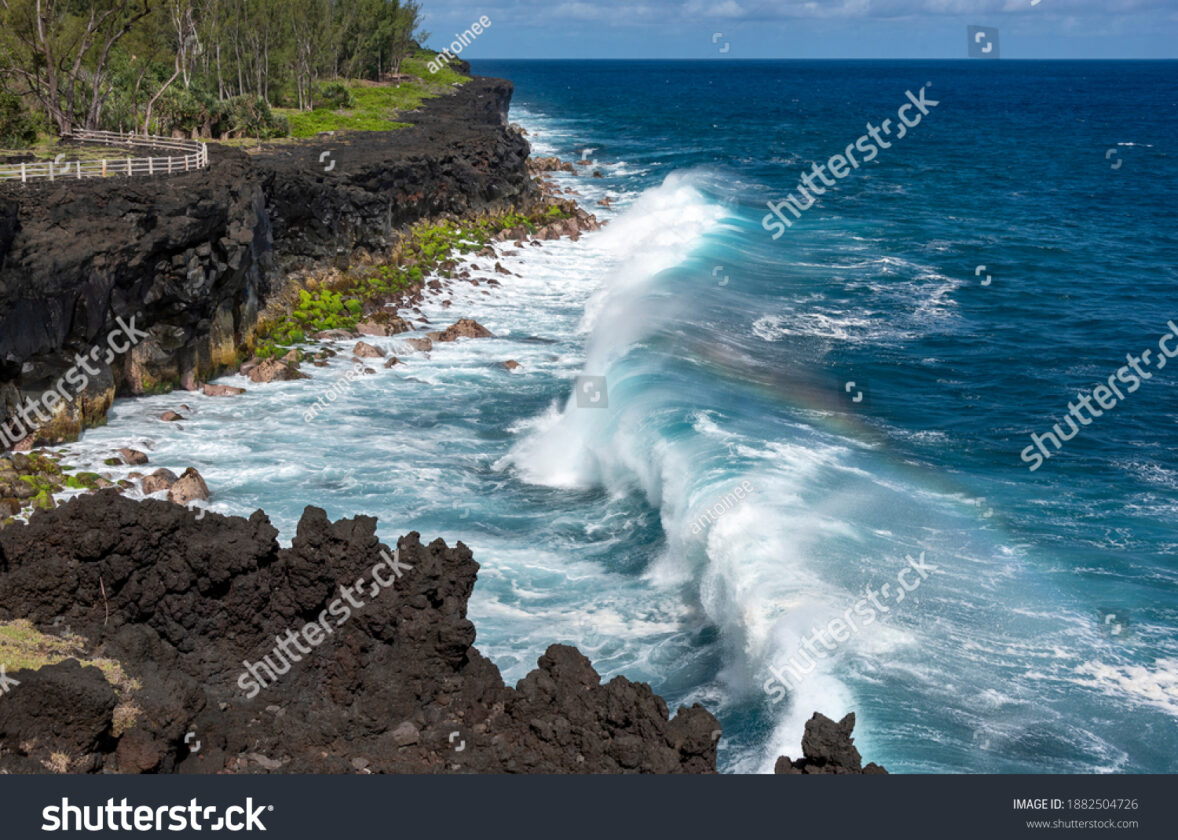Les courants océaniques : des autoroutes pour les espèces marines