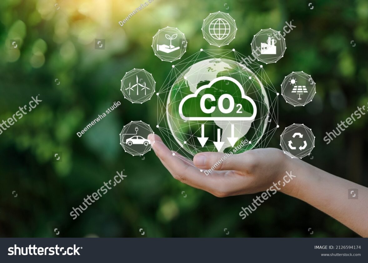 Les défis de la transition vers une économie bas carbone