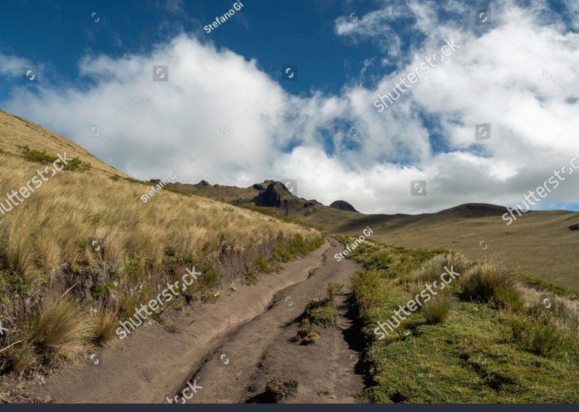 Les écosystèmes de toundra alpine : des zones de haute altitude aux conditions extrêmes