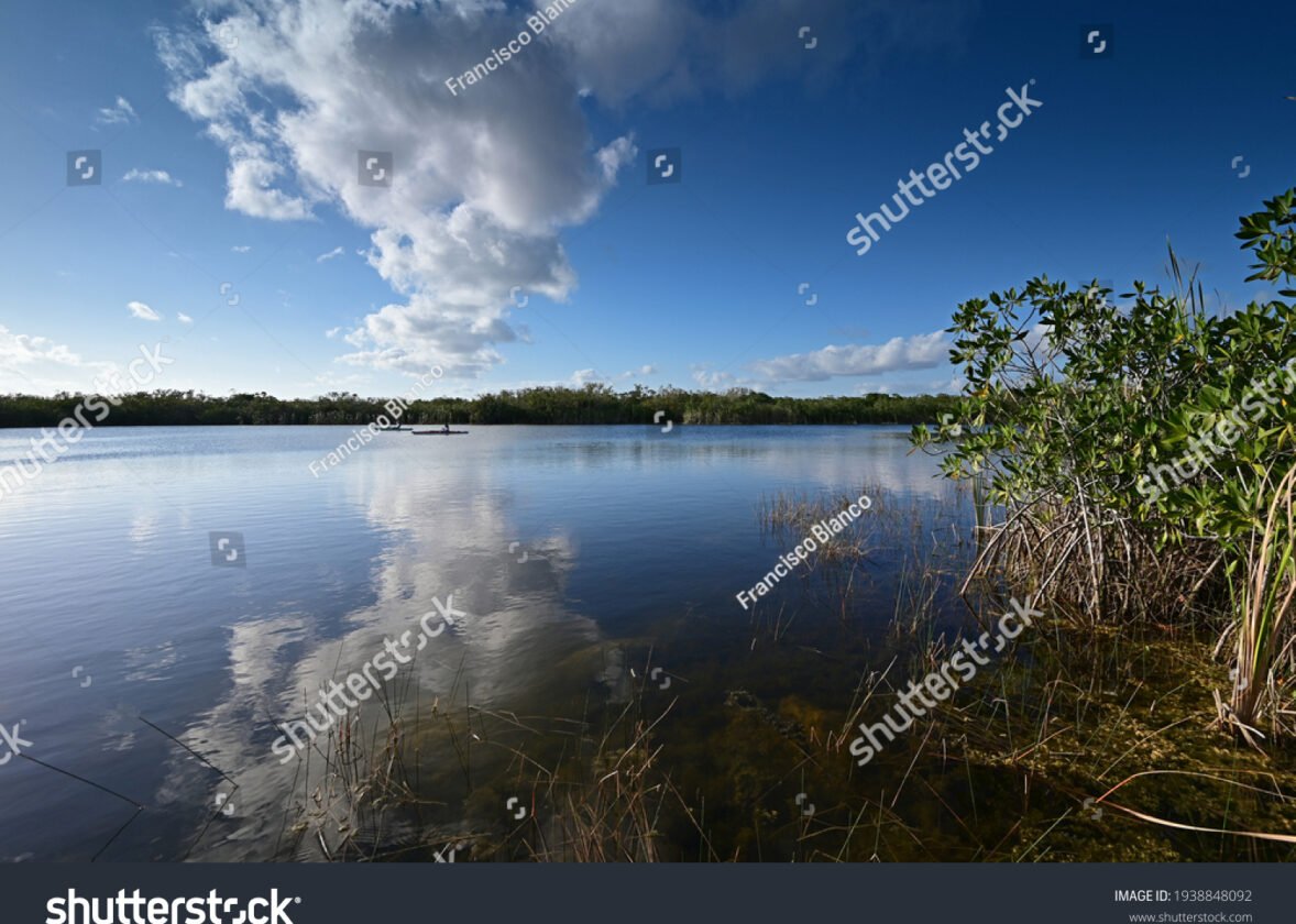 Les écosystèmes d’eau douce : des habitats riches en biodiversité