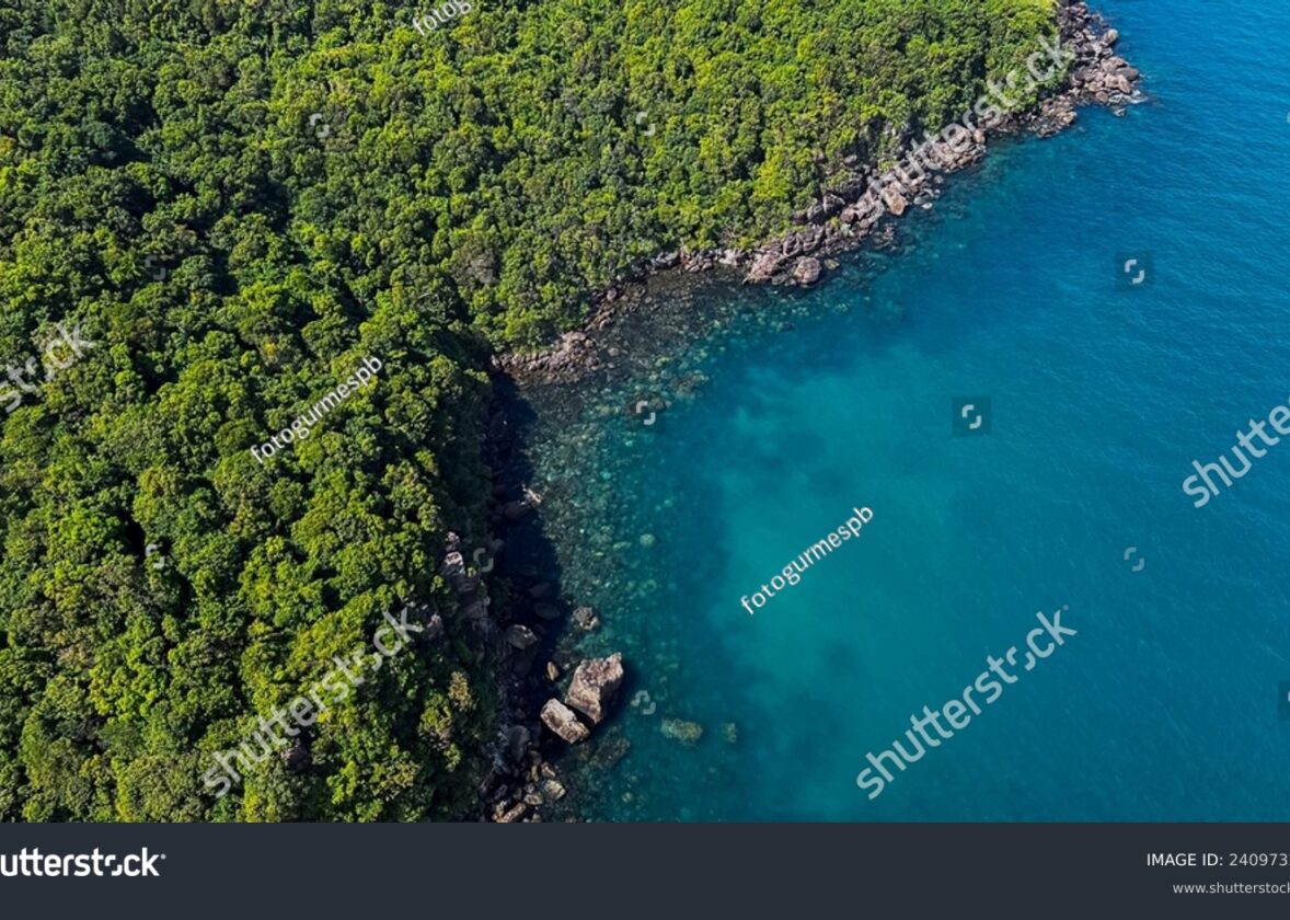 Les écosystèmes marins côtiers : des nurseries pour de nombreuses espèces