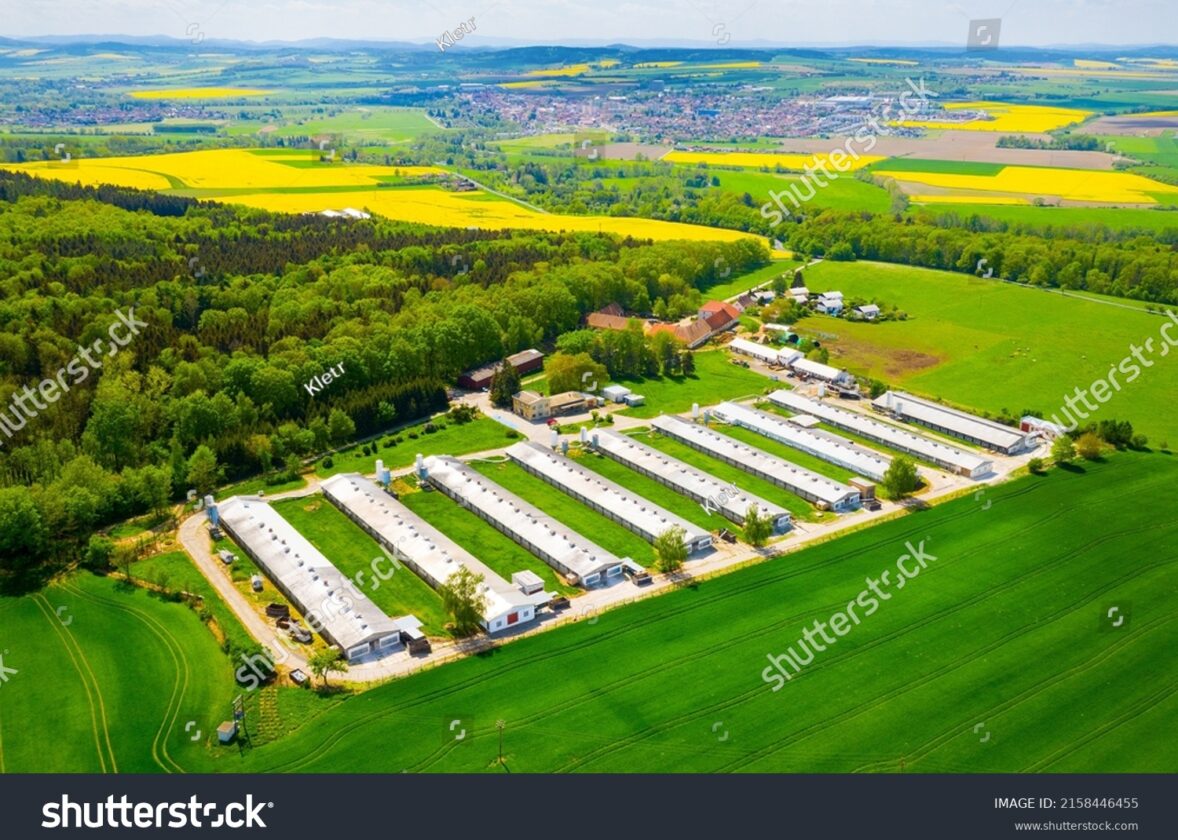 Les écosystèmes urbains : des îlots de nature au cœur des villes