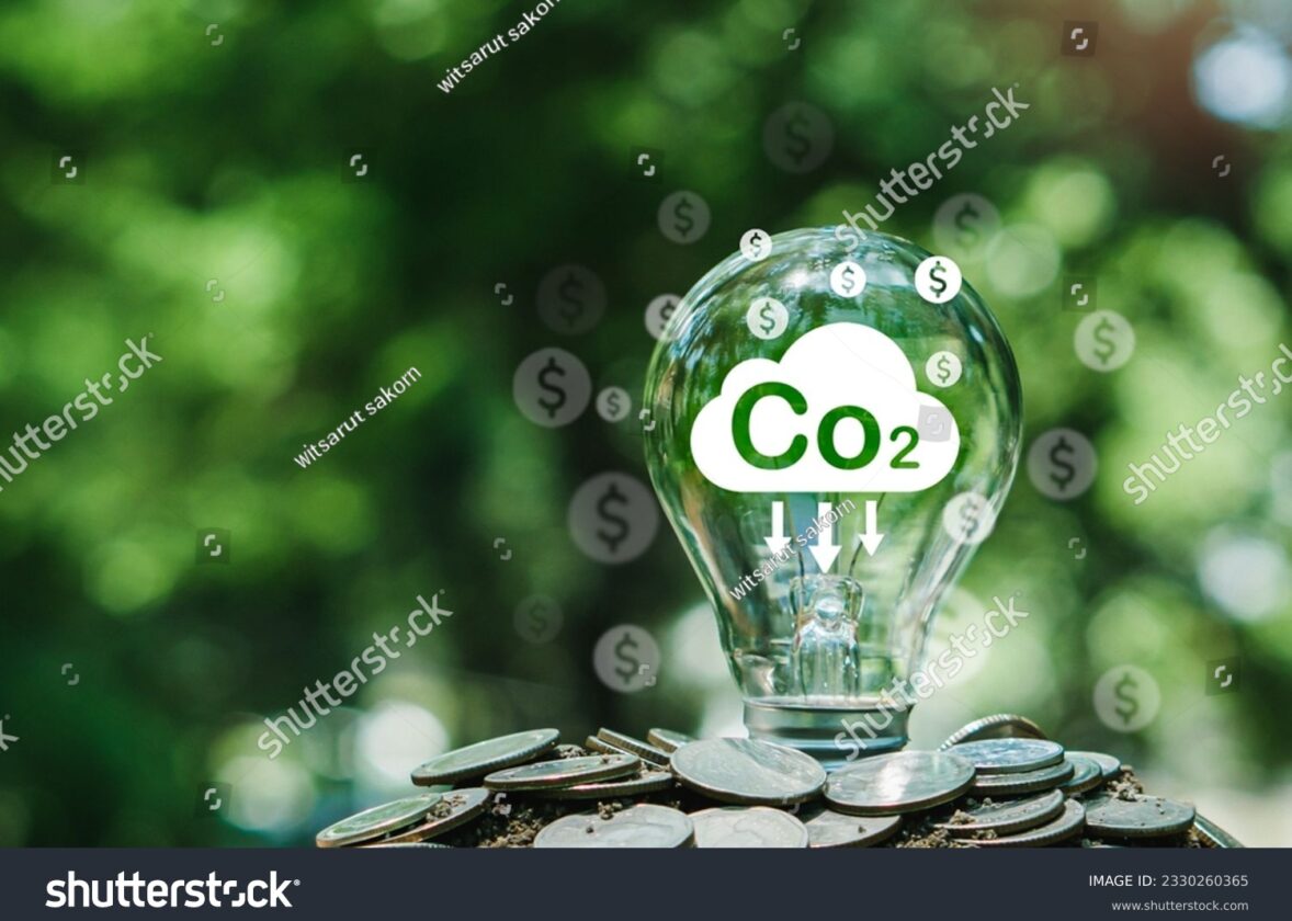 Les énergies renouvelables : des alternatives bas carbone