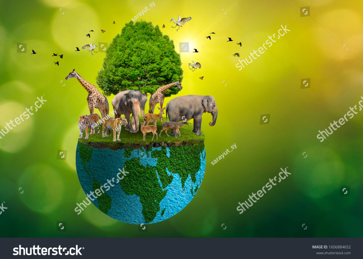 Les forêts urbaines et périurbaines : des poumons verts à préserver