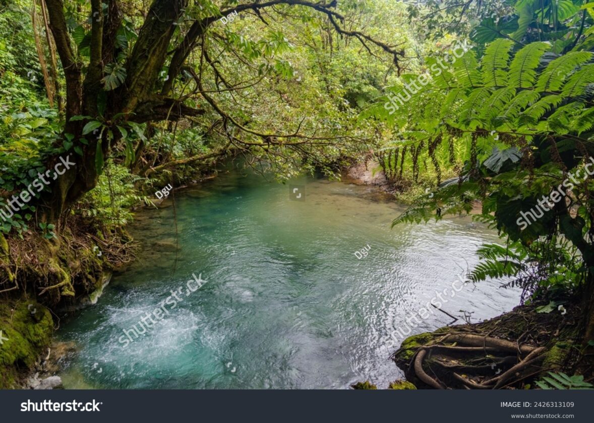 Les fosses océaniques : les zones les plus profondes des océans