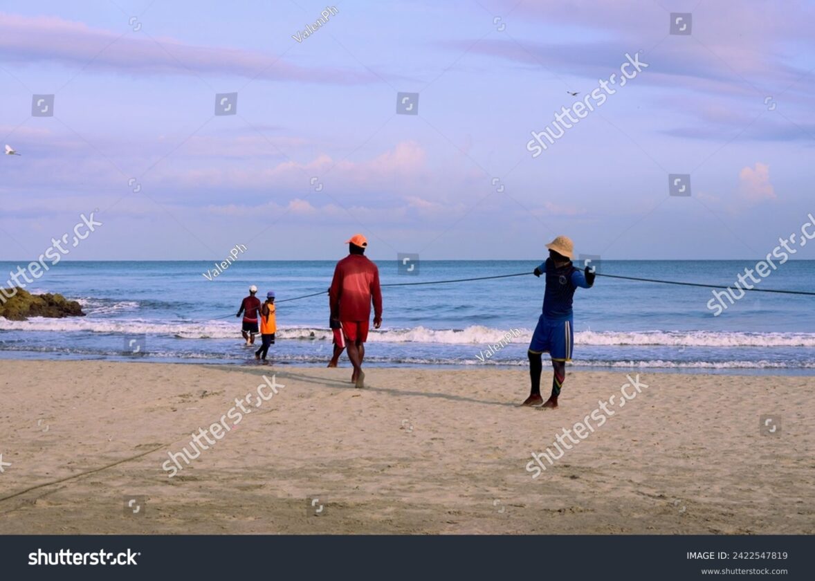 Les fronts océaniques : des zones de rencontre entre masses d’eau