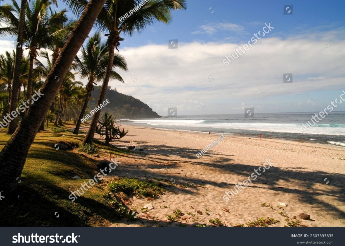 Les îles océaniques : des points chauds de biodiversité marine