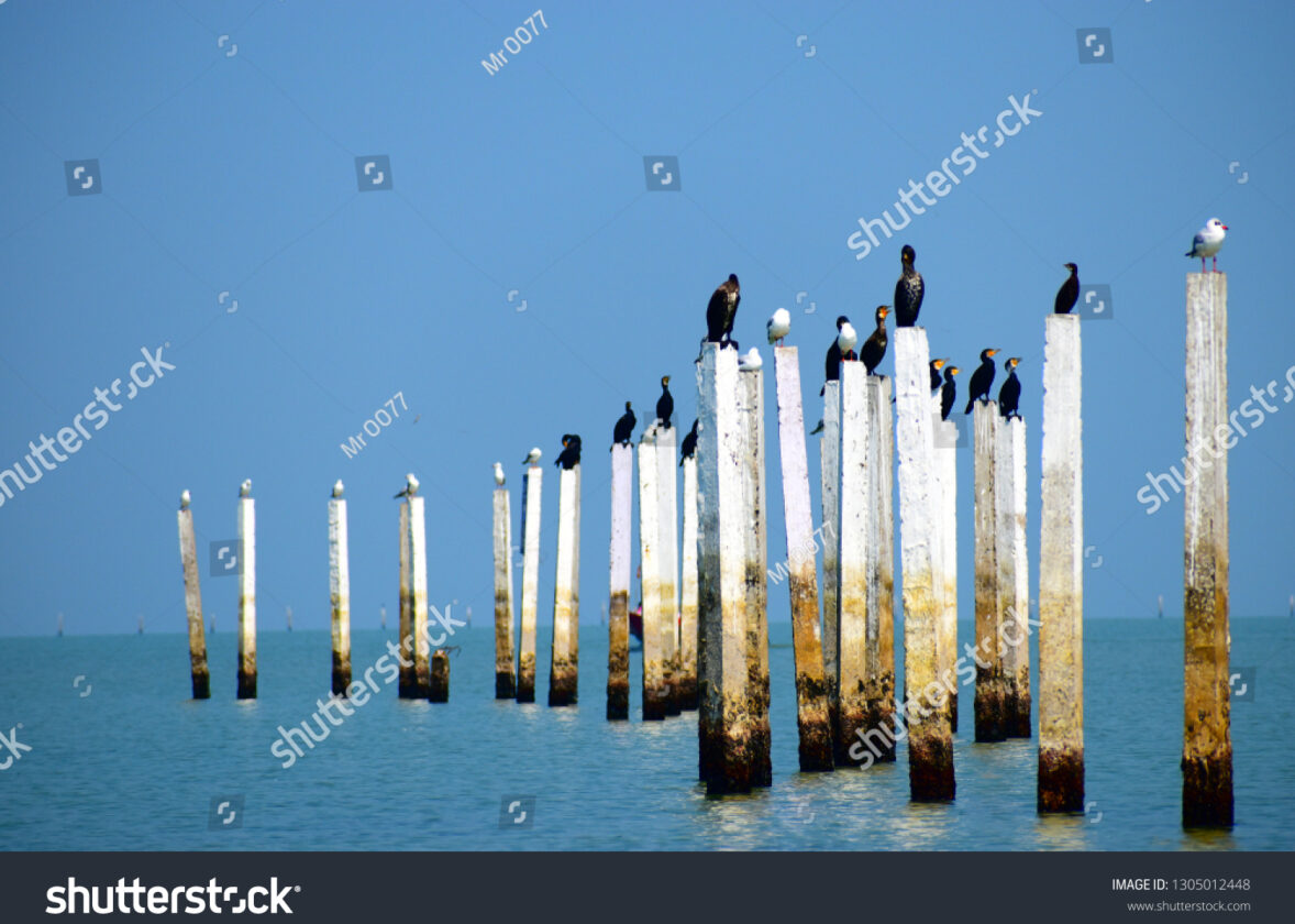 Le large des côtes : une immensité océanique peu explorée