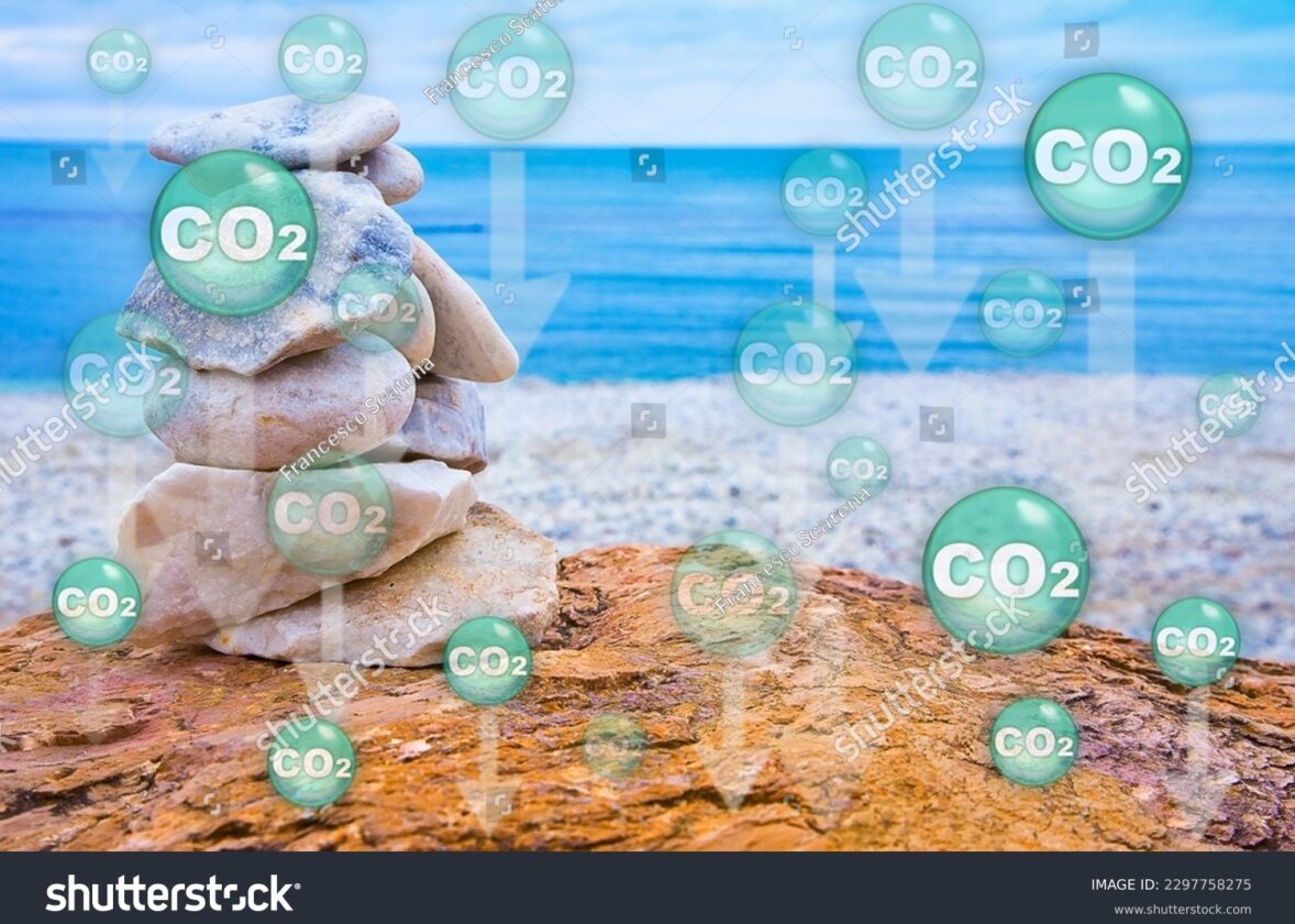 Les puits de carbone naturels et artificiels