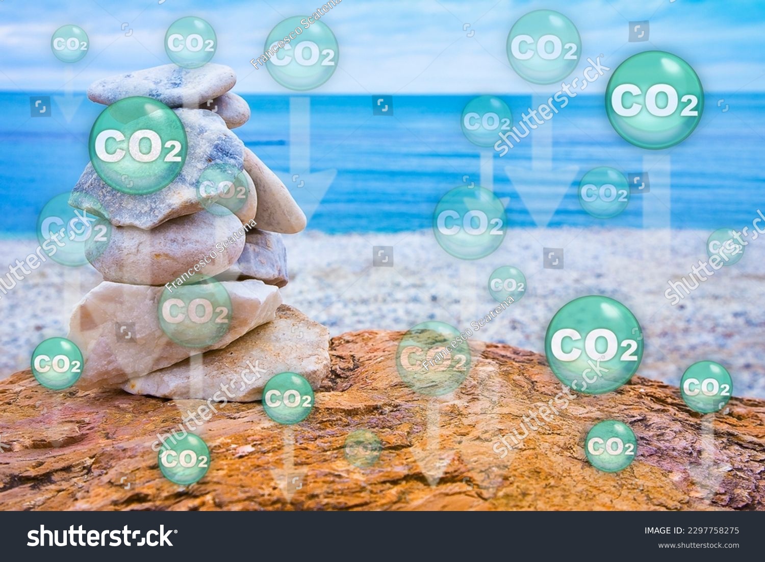 Les puits de carbone naturels et artificiels