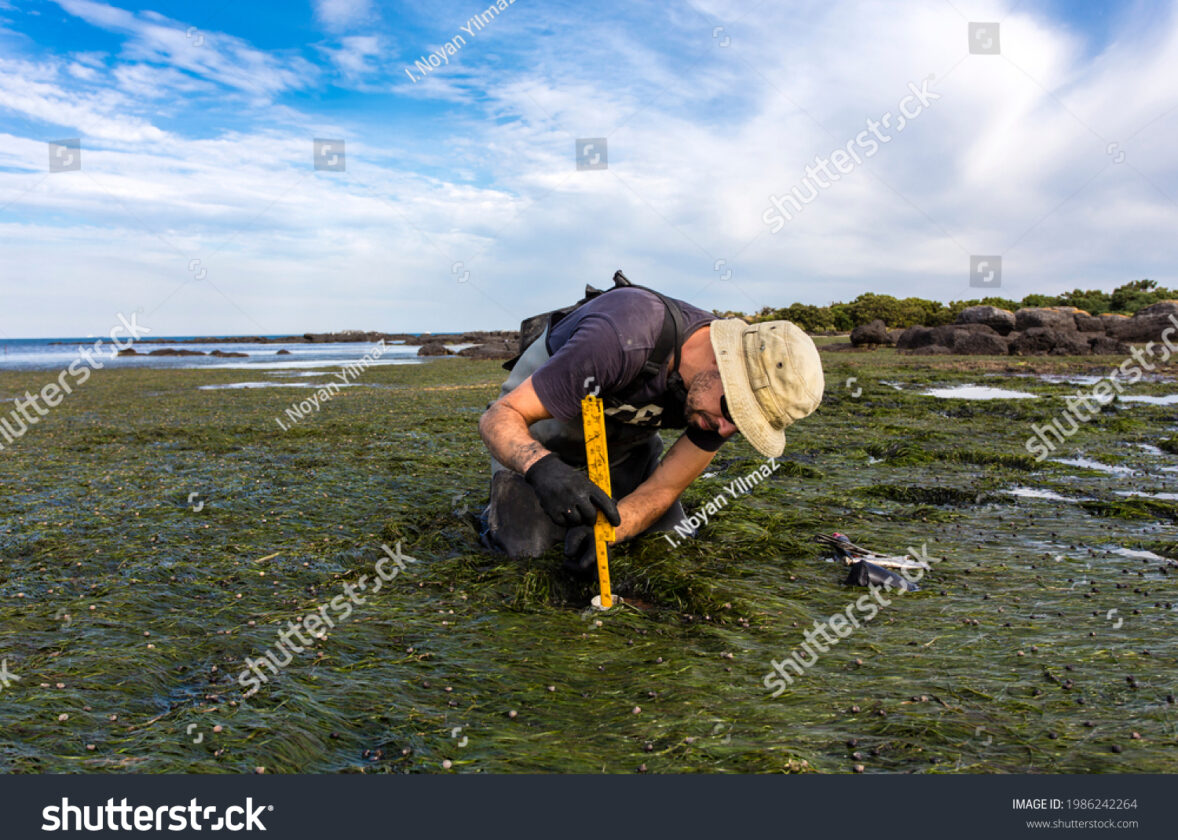 Les services écosystémiques rendus par les forêts