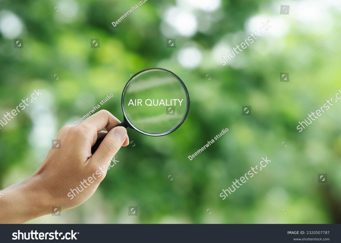 Les solutions fondées sur la nature pour purifier l’air