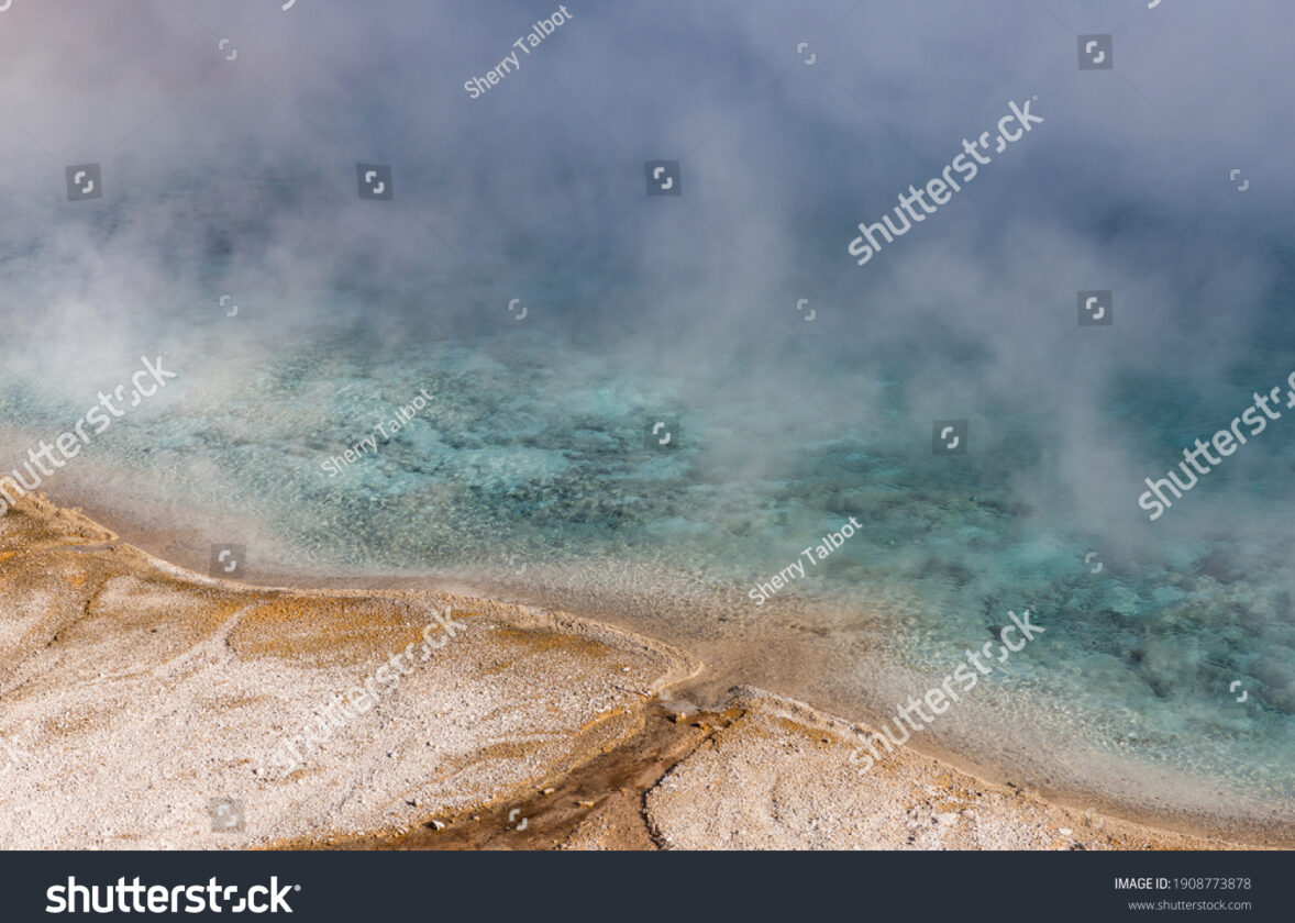 Les sources hydrothermales : des oasis de vie dans les profondeurs