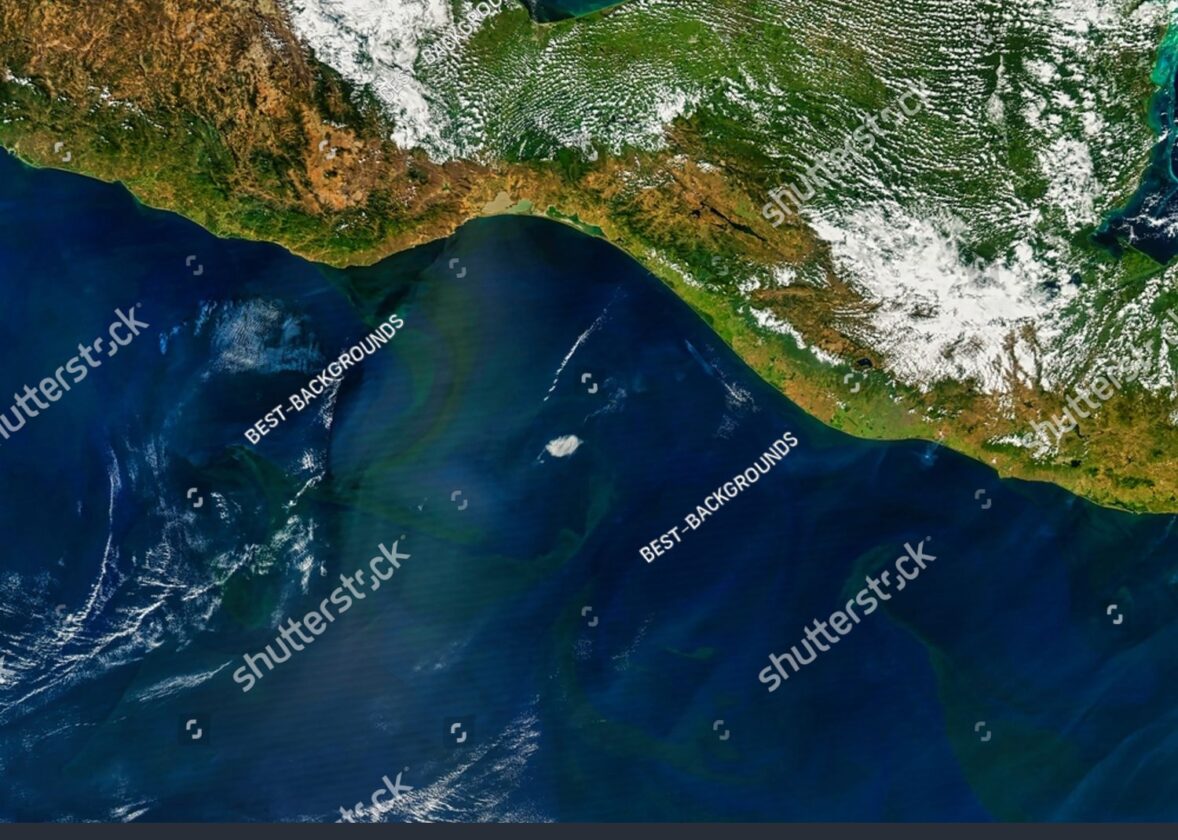 Les upwellings côtiers : des remontées d’eaux froides et riches